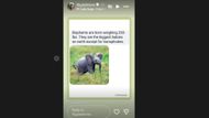 Screenshot from Lily Gladstone Instagram story (Image via Instagram/@lilygladstone)